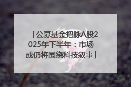 公募基金把脉A股2025年下半年：市场或仍将围绕科技叙事