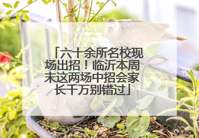 六十余所名校现场出招！临沂本周末这两场中招会家长千万别错过