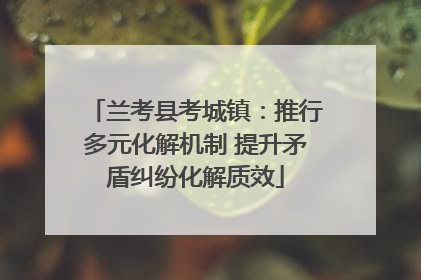 兰考县考城镇：推行多元化解机制 提升矛盾纠纷化解质效