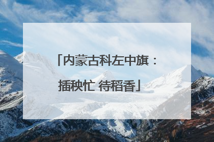 内蒙古科左中旗：插秧忙 待稻香