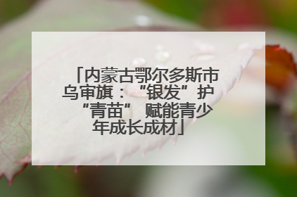 内蒙古鄂尔多斯市乌审旗：“银发”护“青苗” 赋能青少年成长成材