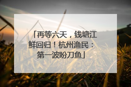 再等六天，钱塘江鲜回归！杭州渔民：第一波盼刀鱼