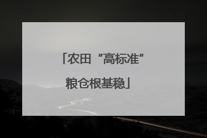 农田“高标准” 粮仓根基稳