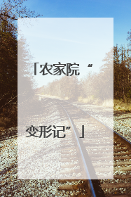 农家院“变形记”