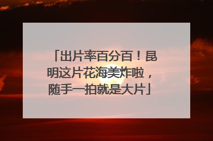 出片率百分百！昆明这片花海美炸啦，随手一拍就是大片