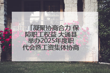 凝聚协商合力 保障职工权益 大通县举办2025年度职代会暨工资集体协商现场观摩交流活动