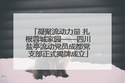 凝聚流动力量 扎根蓉城家园——四川盐亭流动党员成都党支部正式揭牌成立
