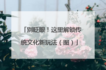 别眨眼！这里解锁传统文化新玩法（图）