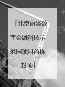 北京丽泽数字金融科技示范园项目首栋封顶