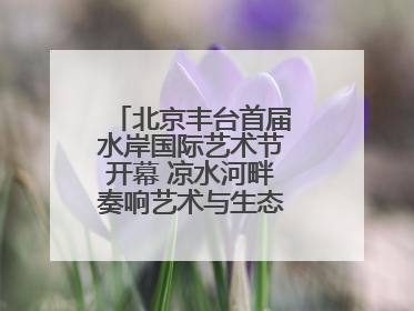 北京丰台首届水岸国际艺术节开幕 凉水河畔奏响艺术与生态 “交响曲”