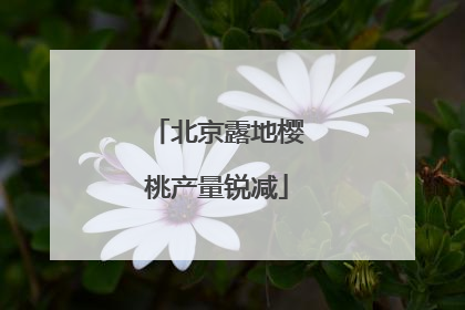 北京露地樱桃产量锐减