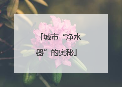 城市“净水器”的奥秘