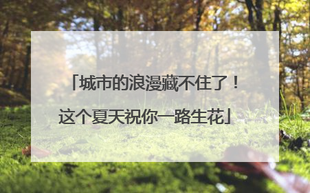 城市的浪漫藏不住了！这个夏天祝你一路生花