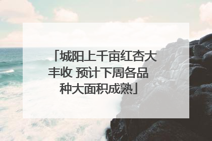 城阳上千亩红杏大丰收 预计下周各品种大面积成熟