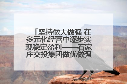坚持做大做强 在多元化经营中逐步实现稳定盈利——石家庄交投集团做优做强典型报道之三