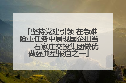 坚持党建引领 在急难险重任务中展现国企担当——石家庄交投集团做优做强典型报道之一