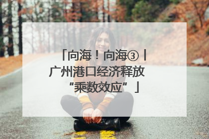 向海！向海③丨广州港口经济释放“乘数效应”