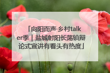 向阳而声·乡村talker季｜盐城射阳长荡镇辩论式宣讲有看头有热度
