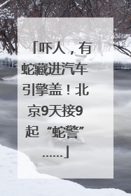吓人，有蛇藏进汽车引擎盖！北京9天接9起“蛇警”……