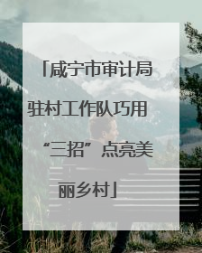 咸宁市审计局驻村工作队巧用“三招”点亮美丽乡村