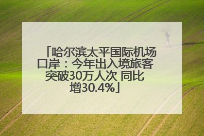 哈尔滨太平国际机场口岸：今年出入境旅客突破30万人次 同比增30.4%
