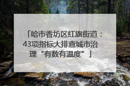 哈市香坊区红旗街道：43项指标大排查城市治理“有数有温度”