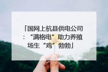 国网上杭县供电公司：“满格电”助力养殖场生“鸡”勃勃