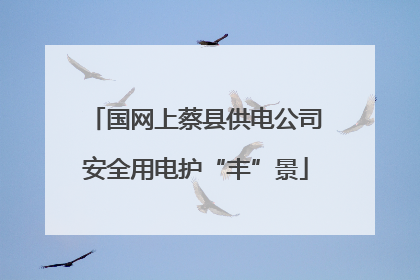 国网上蔡县供电公司安全用电护“丰”景