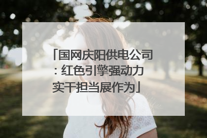 国网庆阳供电公司：红色引擎强动力 实干担当展作为