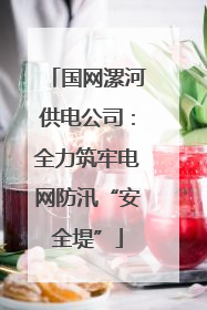 国网漯河供电公司：全力筑牢电网防汛“安全堤”