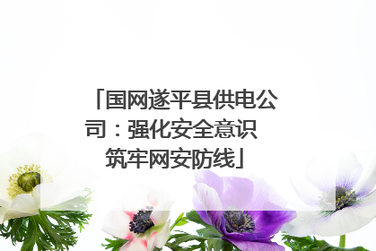 国网遂平县供电公司：强化安全意识 筑牢网安防线