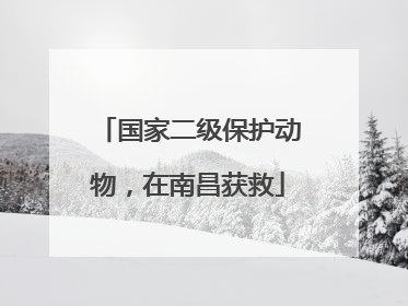 国家二级保护动物，在南昌获救