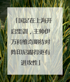 国足在上海开启集训，主帅伊万科维奇期待对阵印尼踢得更有进攻性