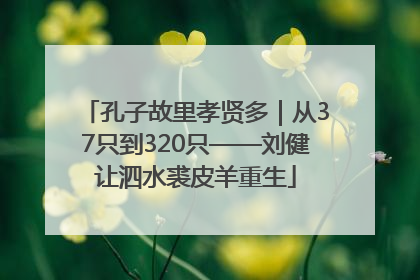 孔子故里孝贤多｜从37只到320只——刘健让泗水裘皮羊重生