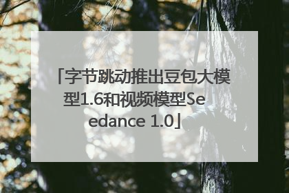 字节跳动推出豆包大模型1.6和视频模型Seedance 1.0