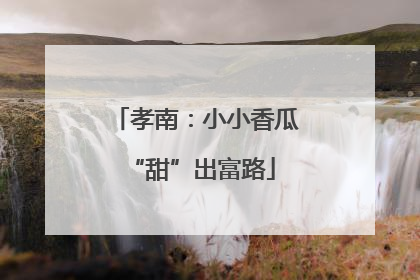 孝南：小小香瓜 “甜”出富路