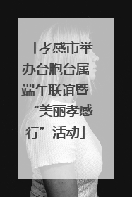 孝感市举办台胞台属端午联谊暨“美丽孝感行”活动