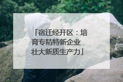 宿迁经开区：培育专精特新企业 壮大新质生产力