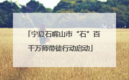 宁夏石嘴山市“石”百千万师带徒行动启动