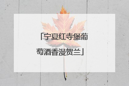 宁夏红寺堡葡萄酒香漫贺兰
