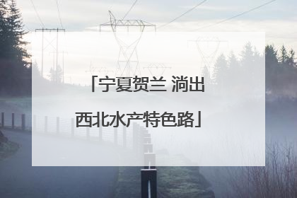 宁夏贺兰 淌出西北水产特色路