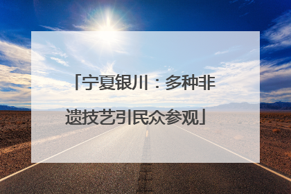 宁夏银川：多种非遗技艺引民众参观
