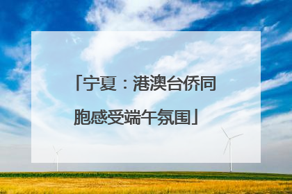 宁夏：港澳台侨同胞感受端午氛围