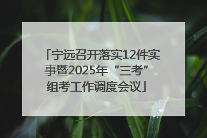宁远召开落实12件实事暨2025年“三考”组考工作调度会议