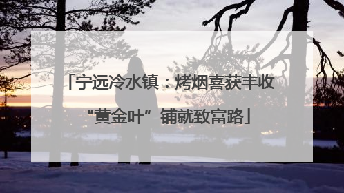 宁远冷水镇：烤烟喜获丰收 “黄金叶”铺就致富路