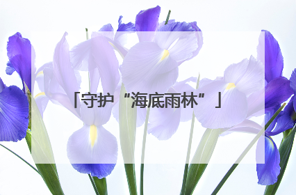 守护“海底雨林”