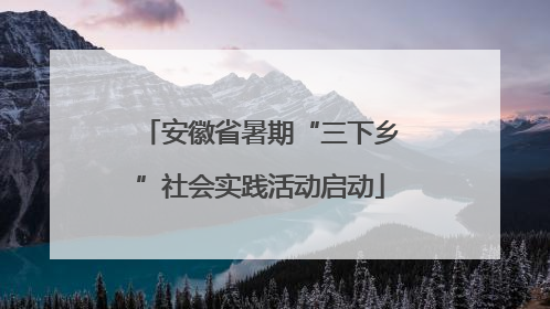 安徽省暑期“三下乡”社会实践活动启动