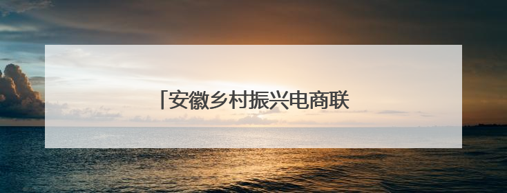 安徽乡村振兴电商联盟亮相深圳文博会