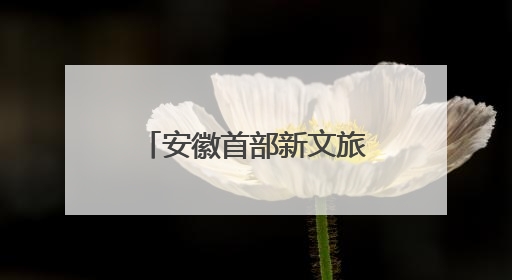 安徽首部新文旅电影《风起秋浦河》在合肥首映