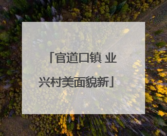 官道口镇 业兴村美面貌新